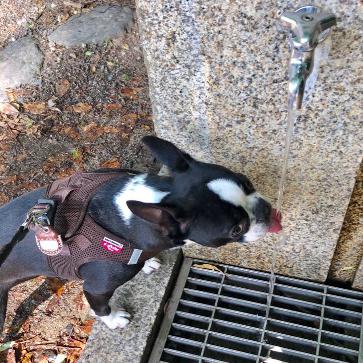 4882787b 8c92 486f a349 fdcd4df8f5fe 1526283508047