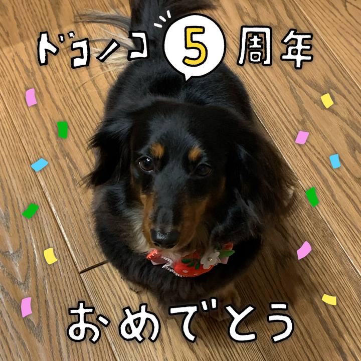 4882c172 ea0b 46bc 9011 a36d6defa591 1622891097724