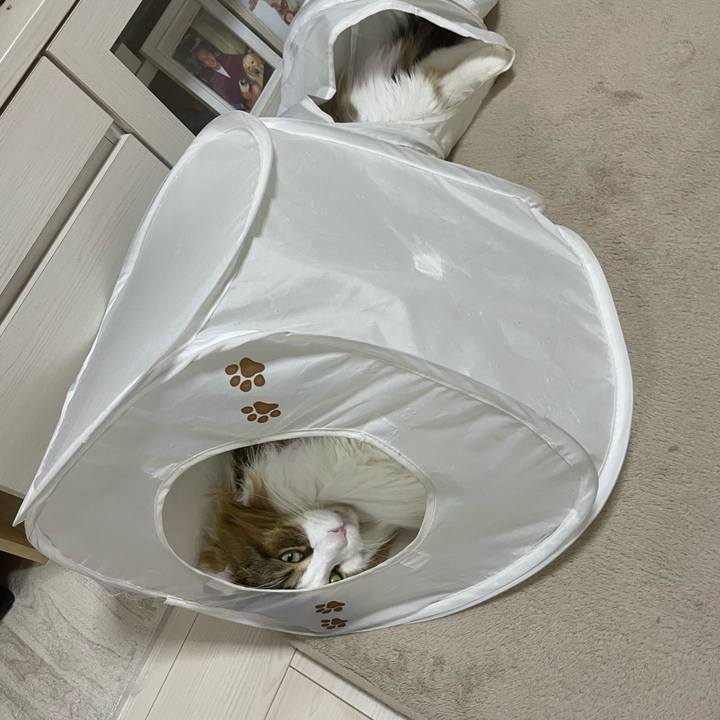 4882ffdc 8947 4fc2 bdb3 618e0765deff 1742503730446