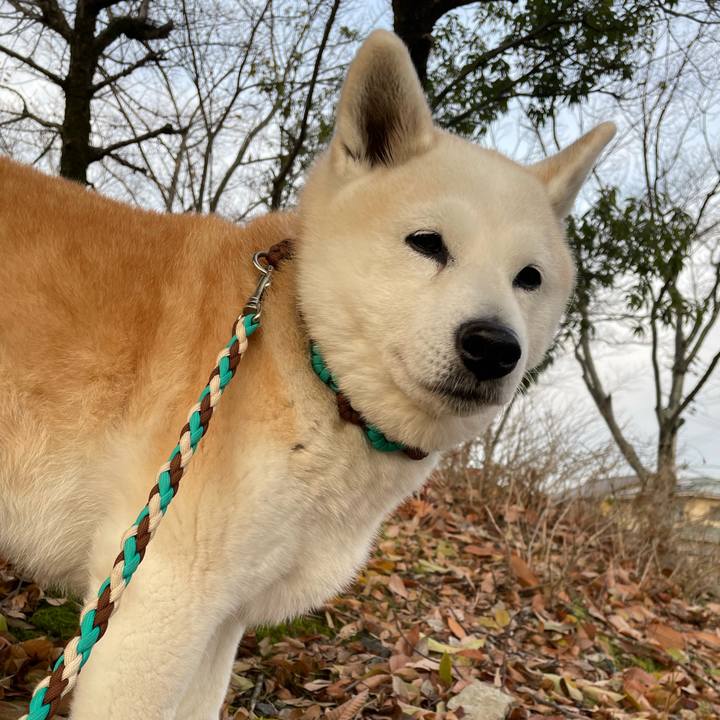 48831b89 4223 4b62 b3bf 09f35e292fb9 1671596608032