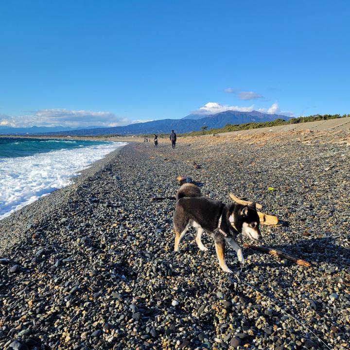 48831c34 9acb 45e5 b63b de758c867664 1767418996784