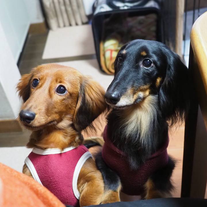 488382d1 9655 4b45 bb57 2273e388f440 1705211179484