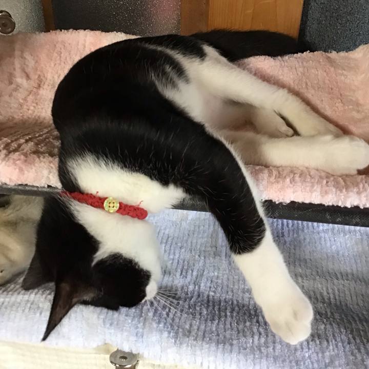 48838da6 2b17 4966 b7b3 bccb161f15bb 1627794627745