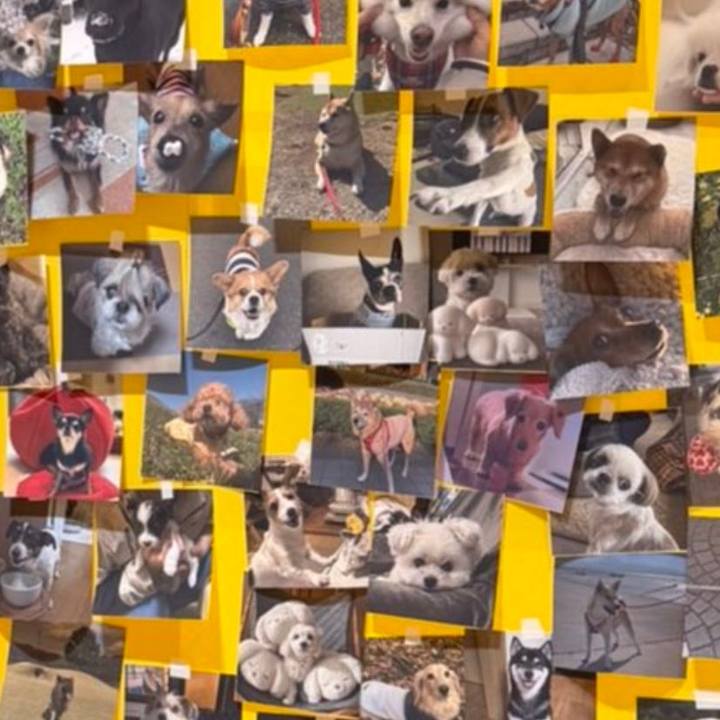 4883c33a 58d4 4359 86cc 743d3760eb13 1776336672995