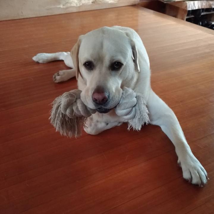 4883f526 450e 45f3 b26a 793796bfce66 1562384700166