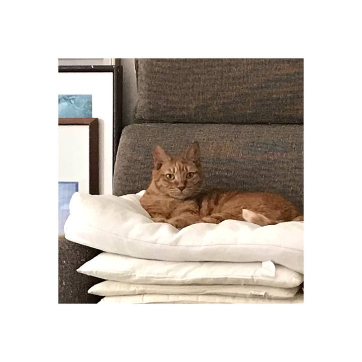 48847b96 dcf6 4746 a5b0 6df6a564cb73 1664169480605