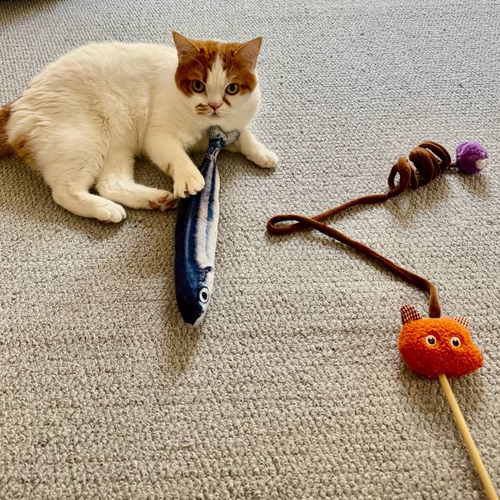 48853b21 6e04 44c1 99c7 10b4e8aadbf2 1765247811895