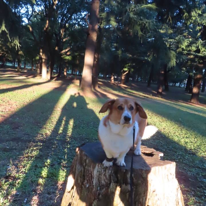 4885593e 7809 4eb3 8f4c dfe0969e6c07 1635211480380