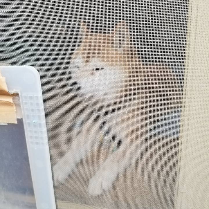 48855f2f 4ba3 43df 9b76 17d7e2d5b153 1589780298056