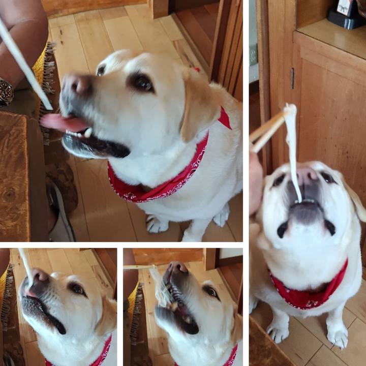 48856a15 1421 4832 87bc 5f8d842215e5 1750997313109