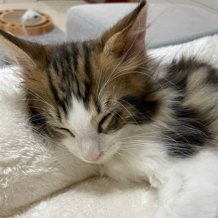 48856f66 5372 4687 81f1 50f9895ed1b0 1631792132300