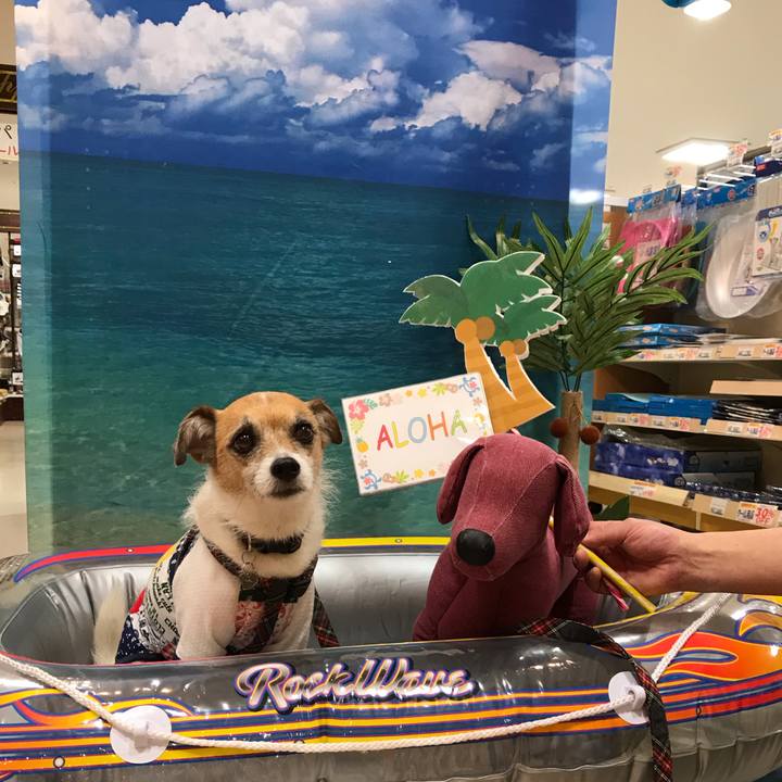 48859474 4b86 416e 8857 e05d16f4a00a 1563141614362