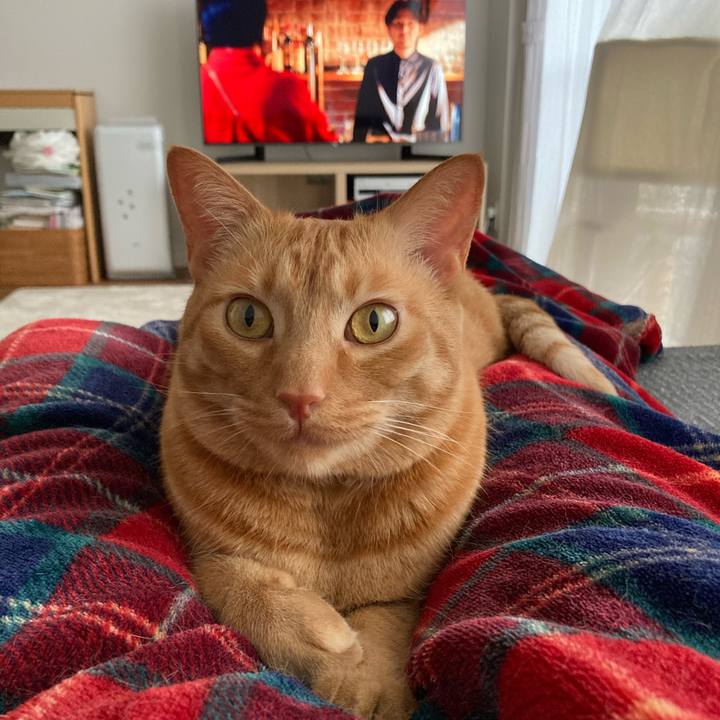 4885f332 d791 4160 ac03 da70c532b621 1620456535130