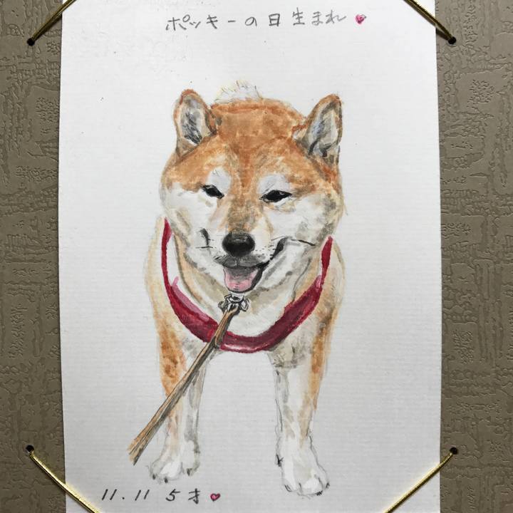 4885f4fe ed50 43b7 86c6 54fe1af7ab18 1613341230280