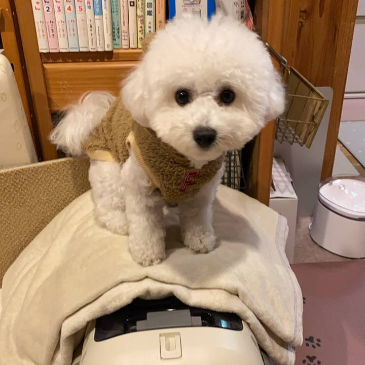 48861a66 51f3 459c b630 400ecf63dbc6 1766230068402