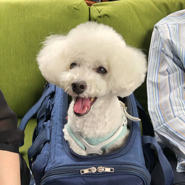 48863ba1 dabf 4829 b83e d08b75203cea 1685174857957