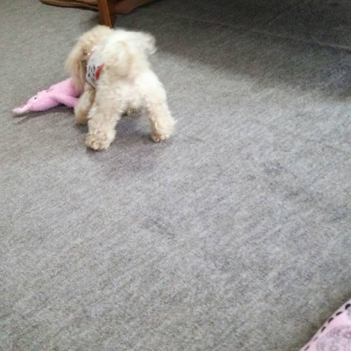 4886b324 971c 4246 a023 b16eba7063fe 1528198050784