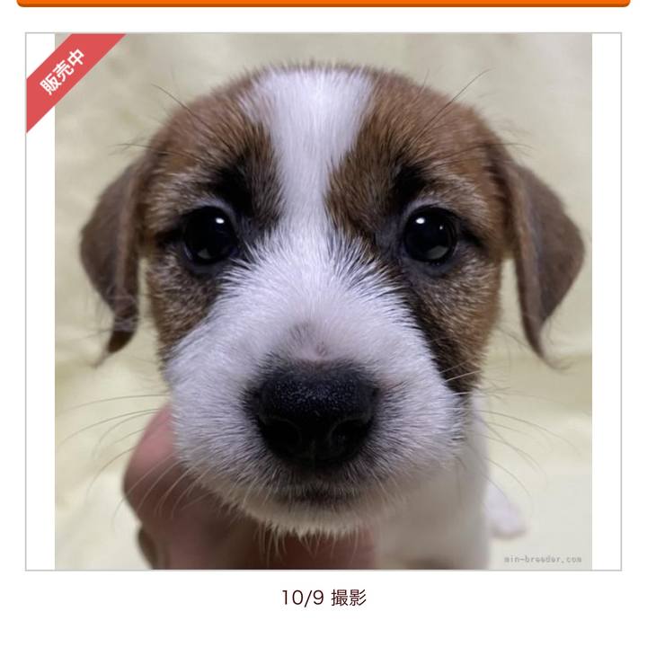 4886f625 33cf 41cf 9d05 61af3cc54236 1674175721430