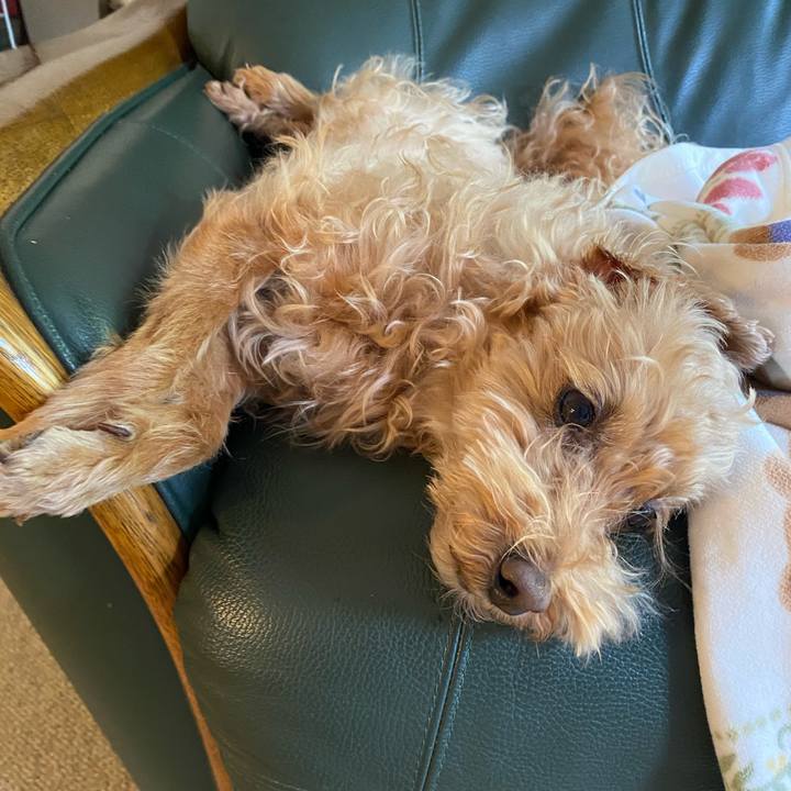 48876a1c 7c06 4cc6 9de2 d338a6aa19d6 1652430027553