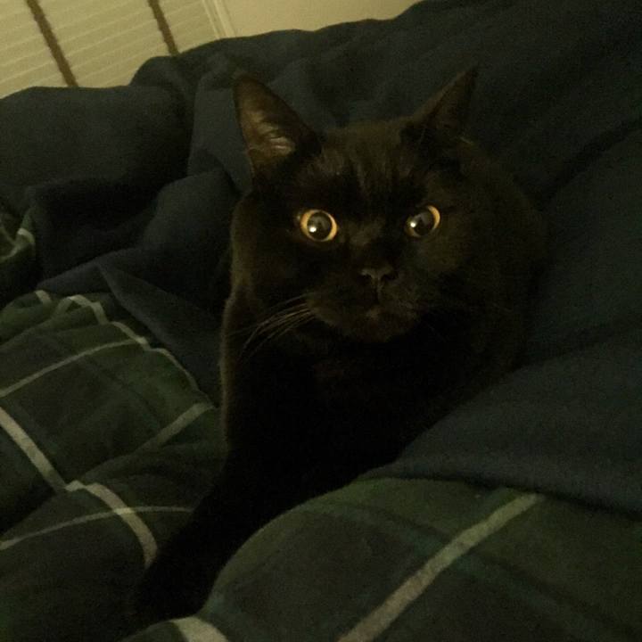 4887d2c3 462b 4f2a 87ef 1cec7b84dd75 1550151139592