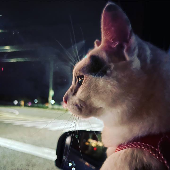 488824f2 8417 4b62 a917 a149bff930b6 1634992355959