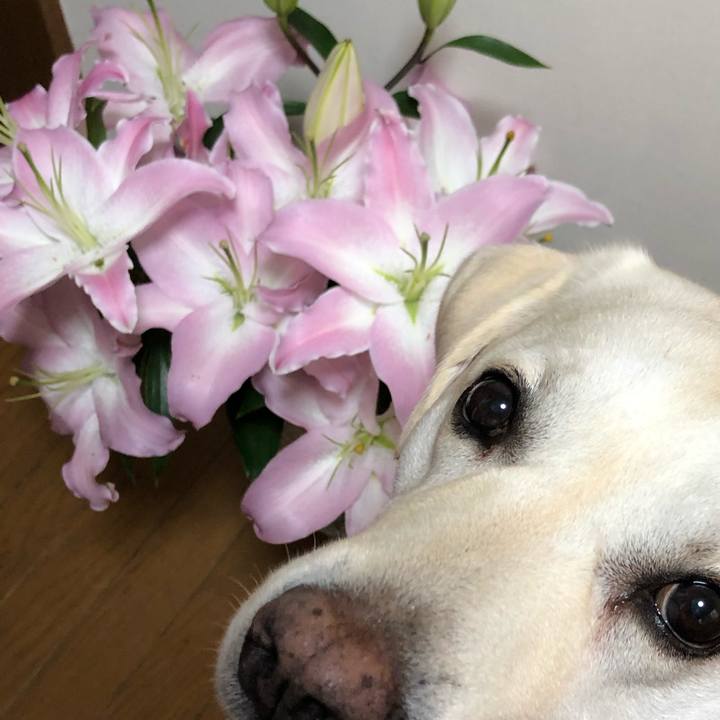 488842c8 77fc 4f0f bdfe d40c70758cb0 1595721590814