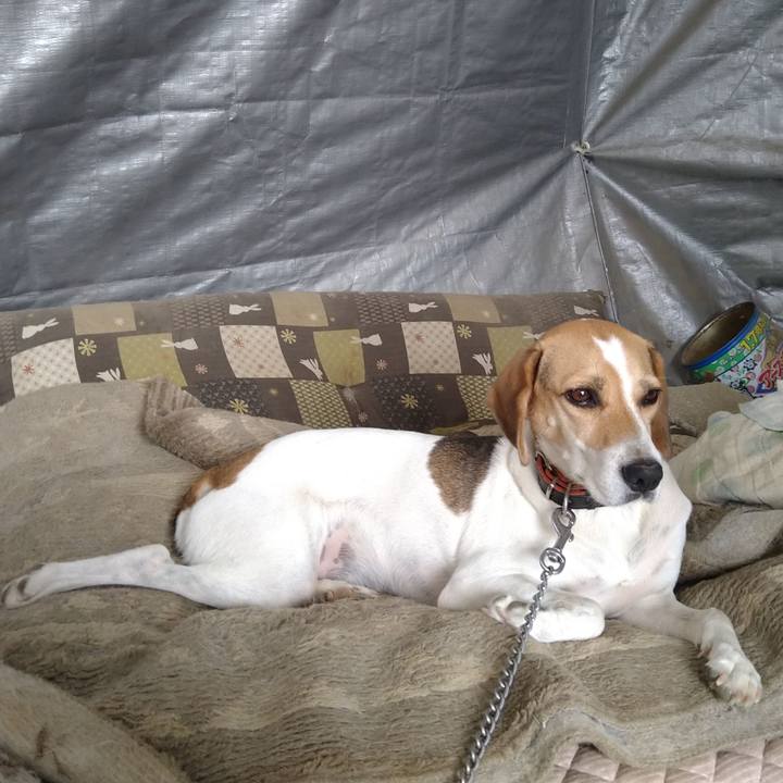 48885481 92d4 4230 aada 56a431870825 1631190770380