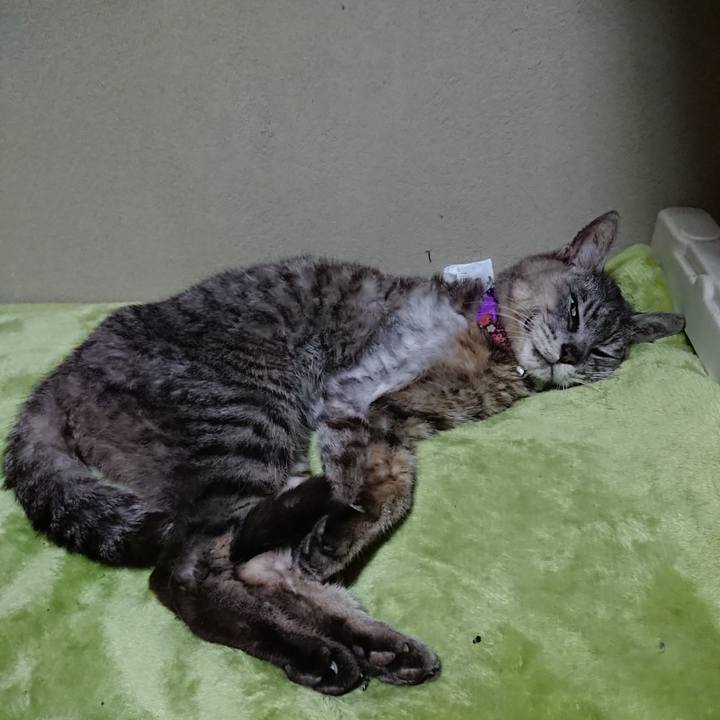 488888f4 949e 4a94 9d18 6adc1c731db8 1597147322516