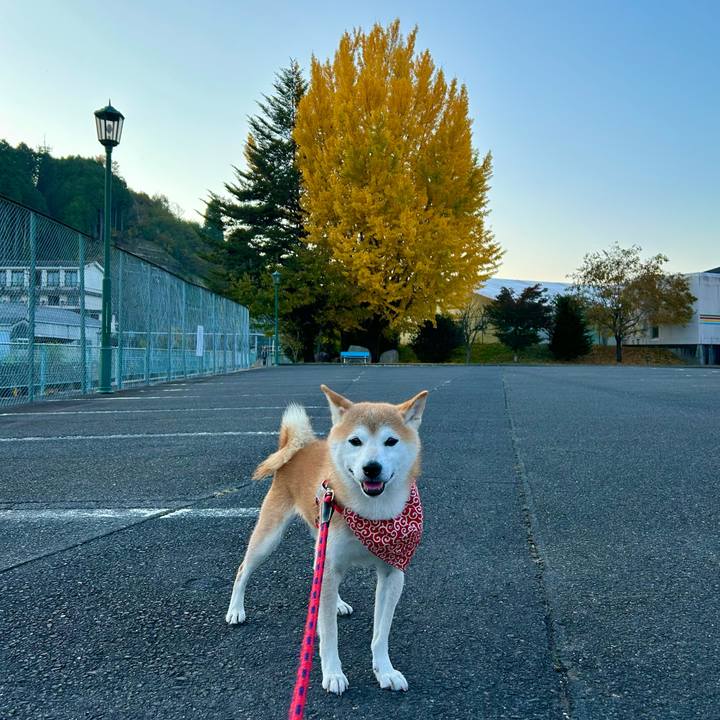 48888d24 a25b 47b4 9a51 f8cfa311b1c0 1699182488708