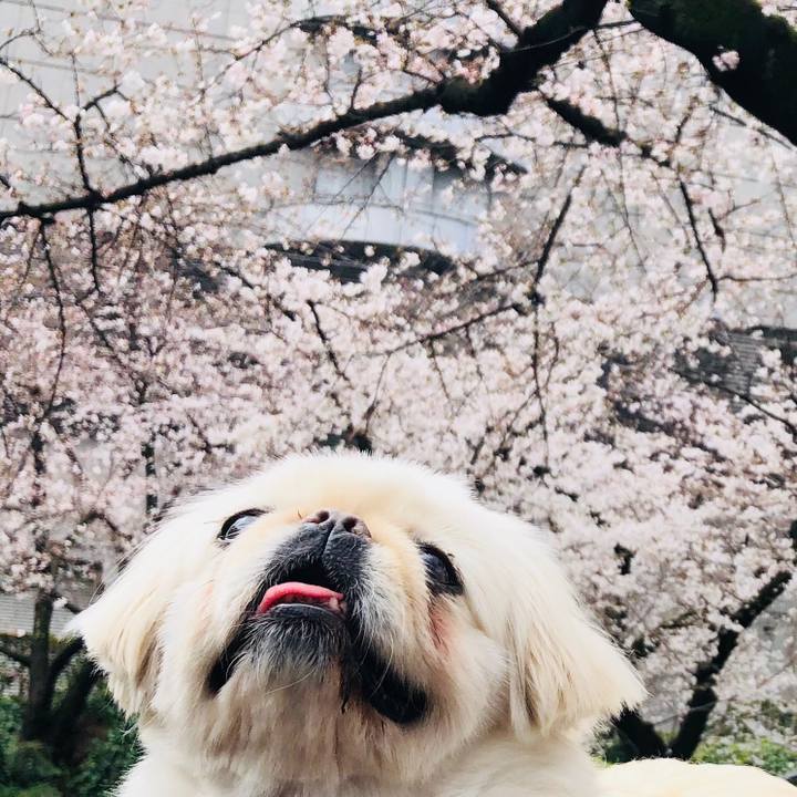 4888c912 567e 4c25 ad10 bd302bfc6c9f 1585536446144