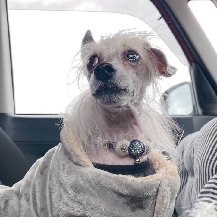 4888e262 5027 41b6 a082 85f74dd6dbd6 1772784093384