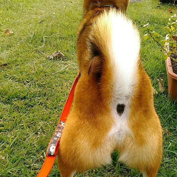 4888f4a4 840c 495b a93a d8997a5dfdb7 1542159463197