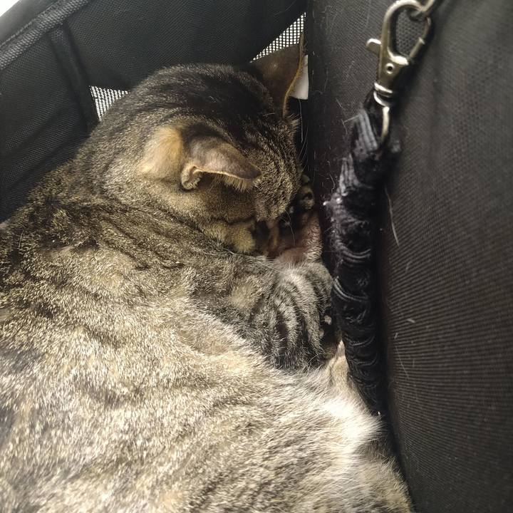 4888f916 a8ce 49e1 95fe 1a7b3ceabcf0 1733659710842