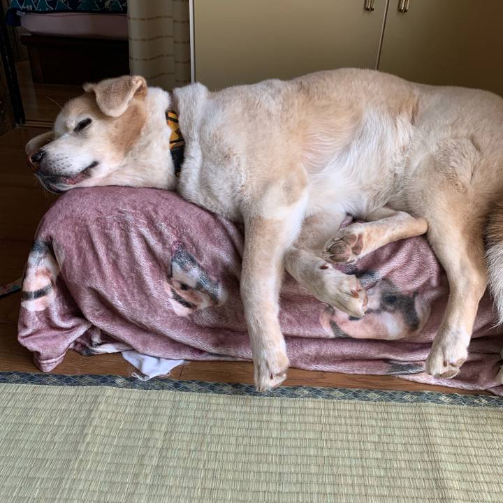 488901ff 19e2 4241 b636 bfde992e47f2 1625967840871