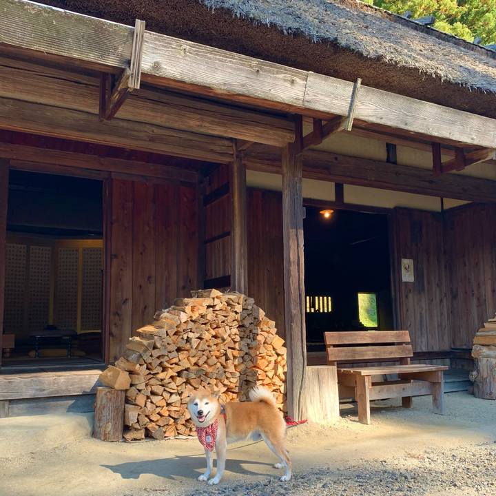 4889049d 71ef 4b38 9e31 a12c499f4390 1667034332407