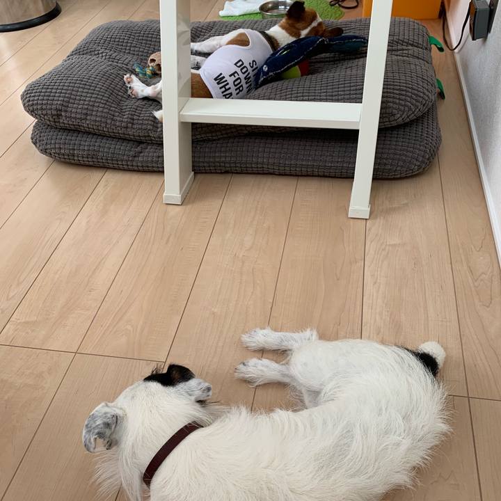 488933a9 74b3 42b0 8c5a d9d18acdd06a 1563501868872