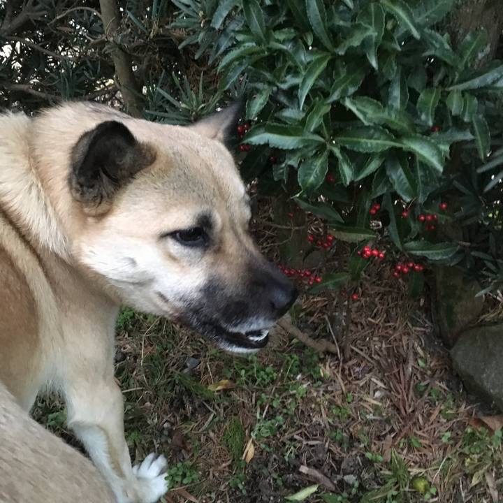 48896b66 4a31 4b44 bad7 112205571d39 1516964294246