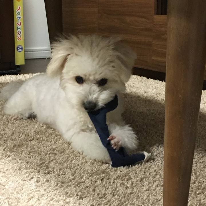 488a3fad 3871 4562 bcba 8aaf708420b5 1547723753867