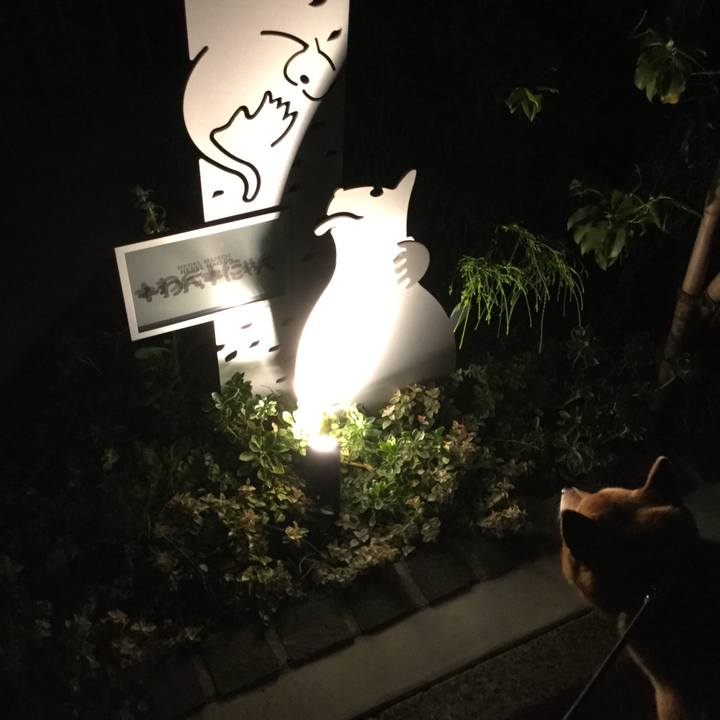 488a4385 e3fa 48e5 a057 a883a16b6513 1541841370234