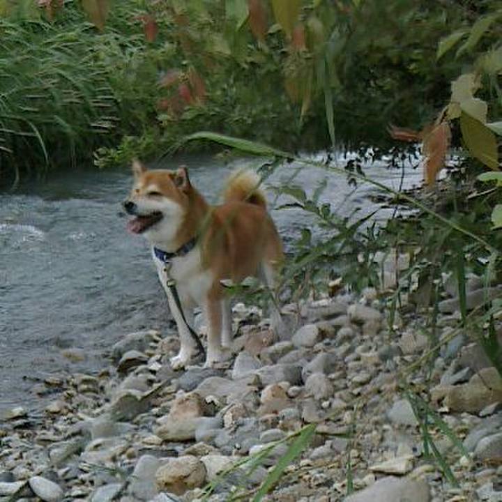 488a4ee5 b20f 4e94 be44 94d992325fa7 1528974225307