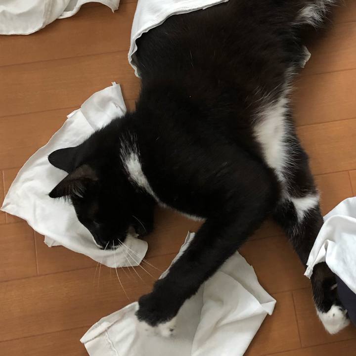 488a6e0c 0a79 4db8 b9ed 33b35002b458 1564718137023