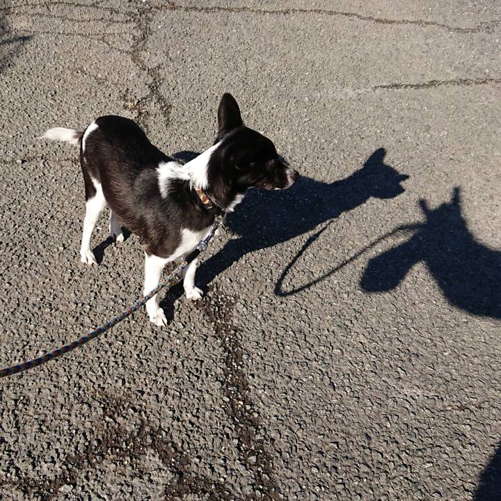 488a919d 8545 4dab bc24 c469bc6e7d6a 1515806846081