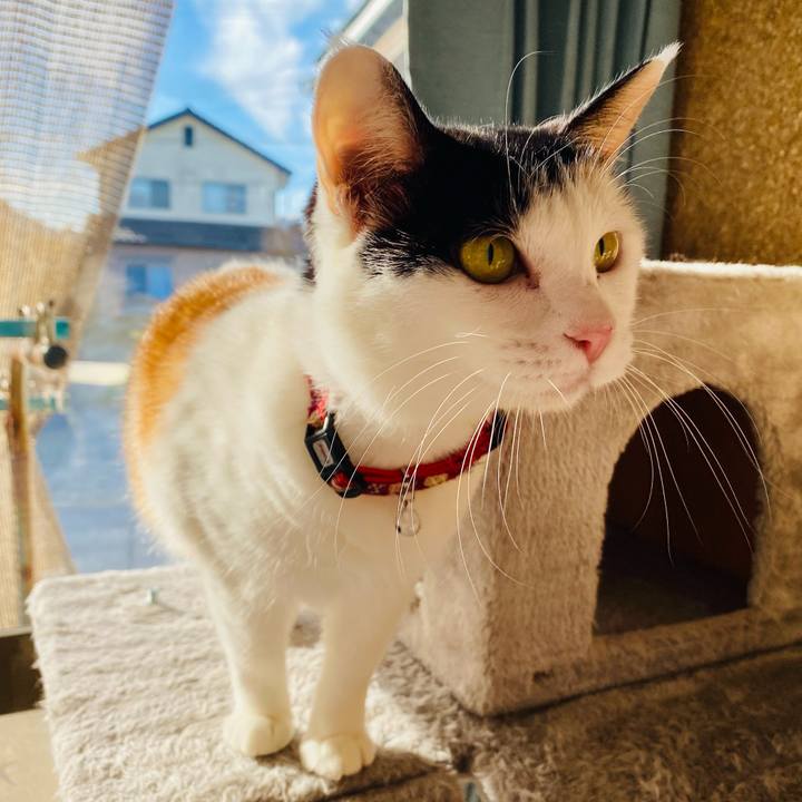 488a92ee 3602 447e b12f 5c005d193fca 1667693543279