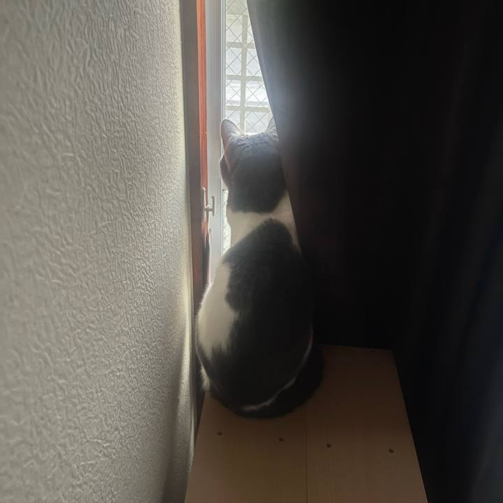 488a9d67 fa70 499d a11e 03ef3b8e082a 1677141952273