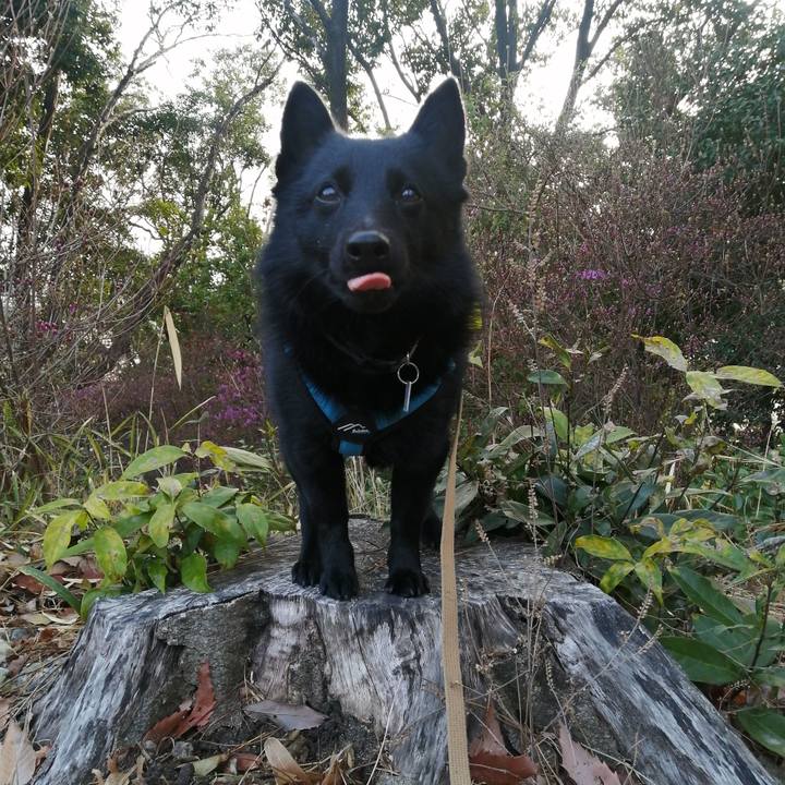 488aa0b9 b1f6 41f9 b86b dfefe9e2b5c6 1648158768543