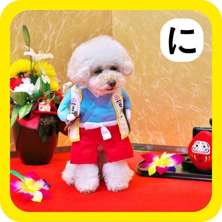 488b01bf 44d4 4fd5 9f28 1de2e75feecd 1515319059820