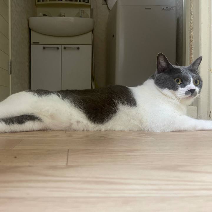 488b1d58 2fc8 4405 85b7 916580cd11e9 1625914699374