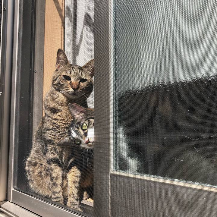 488b3937 8476 4b86 9bd0 8fa63a95de4d 1522528308471