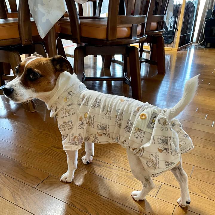 488b8b40 6d37 4a62 bcec 59d747304a08 1634724660401