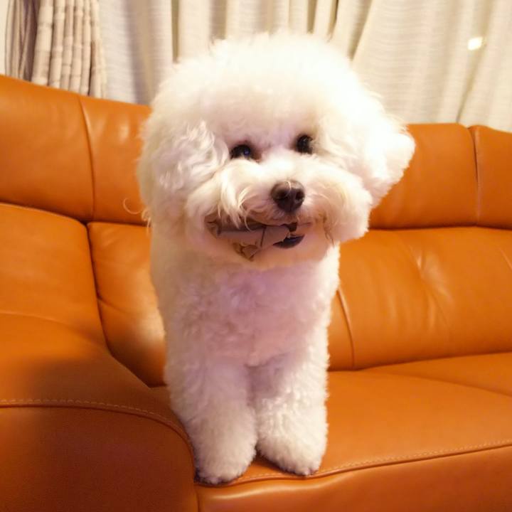 488bab7f da13 4277 9057 7d623c827e89 1535972556057